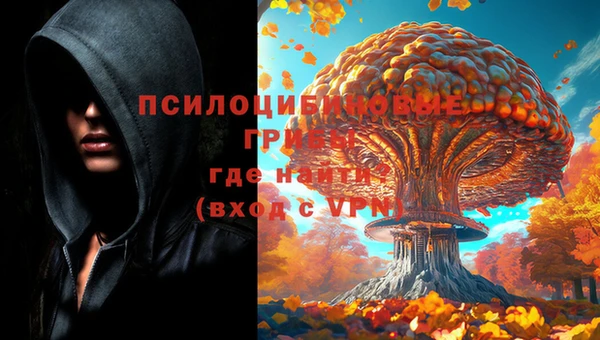 герыч Алексин
