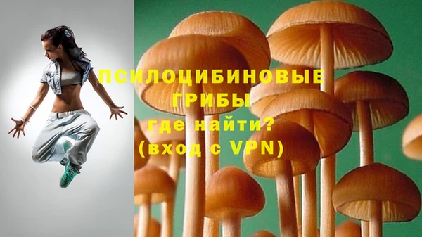 mdpv Аркадак