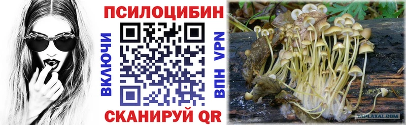 Галлюциногенные грибы мухоморы  Когалым 