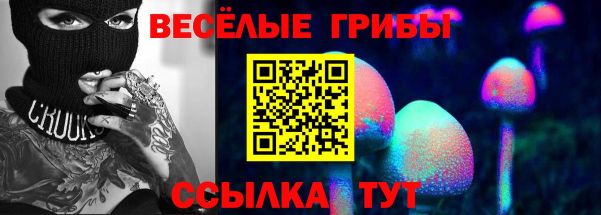 где купить   Галлюциногенные грибы GOLDEN TEACHER  Псилоцибиновые грибы Psilocybine cubensis  Вход с VPN  Когалым 